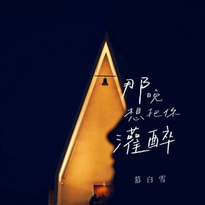 那晚想把你灌醉 (雪花如愁落成堆)