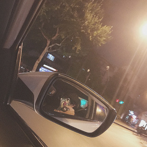 瞬间就是永恒（Cover 陳柯右）