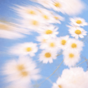 When Flowers Learn to Dance