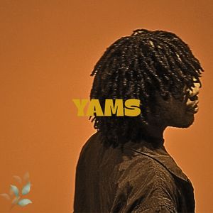 YAMS