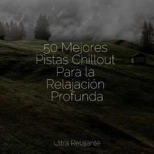 Deja Que Todo Se Vaya