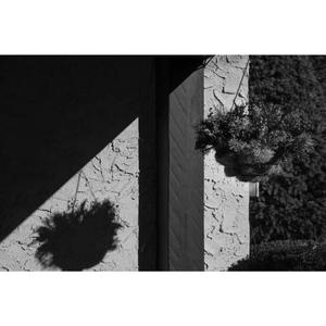 慢慢凋零（Prod by RedRumMusic）