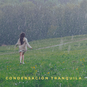 Lluvia Contra La Piel