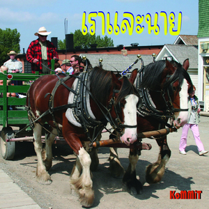 เราและนาย