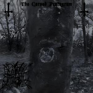 Paint The Leaves Black