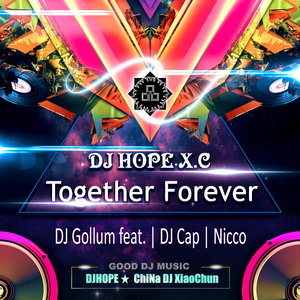 DJ Gollum feat. DJ Cap vs. Nicco - Together Forever