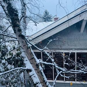 Somewhere Where We Can Skate