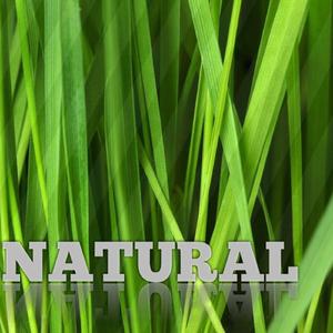 Natural Sounds (Acoustic)