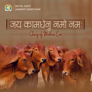 Jai Kamdhenu Namo Namah