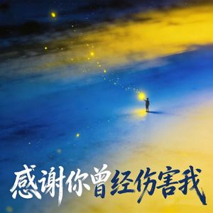 感谢你曾经伤害我