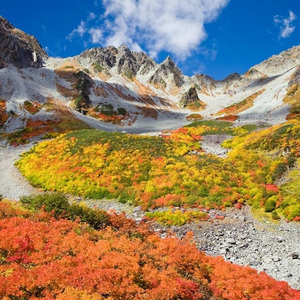 冒険の旅 (Remake version)