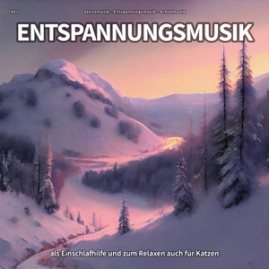 Ein Lied zum Träumen