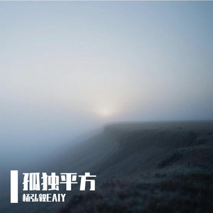 孤独平方