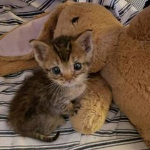 It's So Good (slowed)