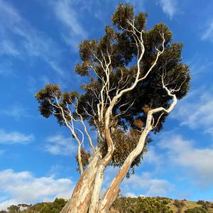 What Goes on My Mind