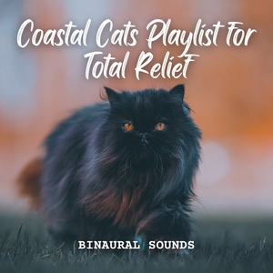 Binaural Coastal Cat Retreat