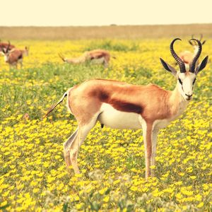 微妙的宁静心情