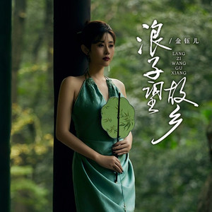 浪子望故乡 (DJBaban版)