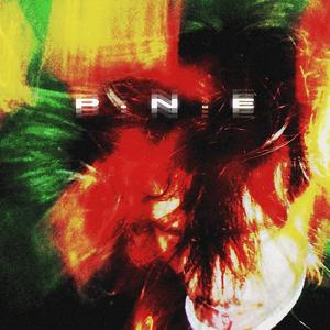 P.N.E