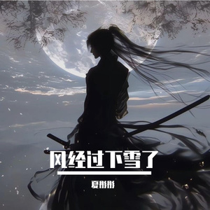 风经过下雪了