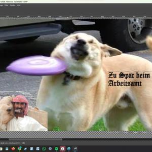 Eisen essen, Stahlträger scheißen!