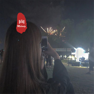 越南舞曲 (DJ版)