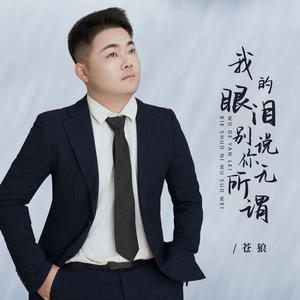 我的眼泪别说你无所谓 (伴奏)