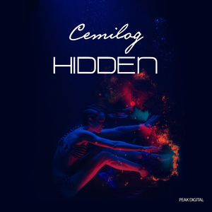 Hidden (Original Mix)