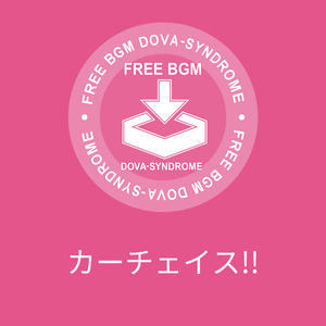 カーチェイス!!