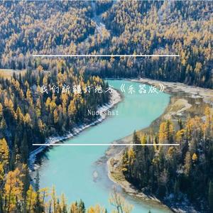 群星-我们新疆好地方（Nuershat remix）