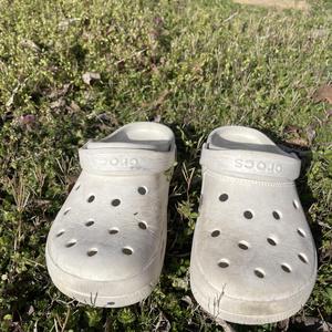 crocs