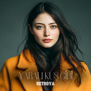 Yaralı Kuş Gibi