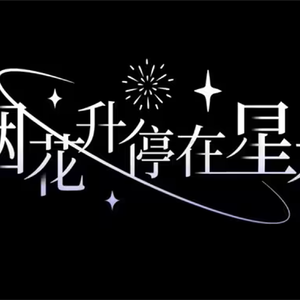烟花升停在星夜