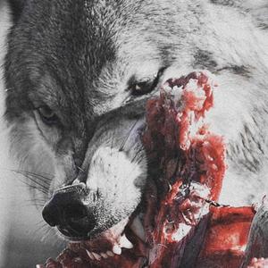 Lone Wolf (feat. Jay the Icon)