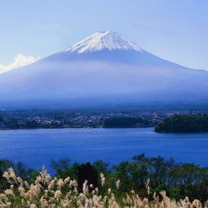 是我不懂你的主动