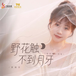 野花触不到月牙（像我触不到他）