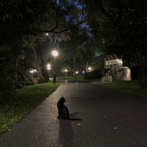 誓言回涩在冷色调阴雨天