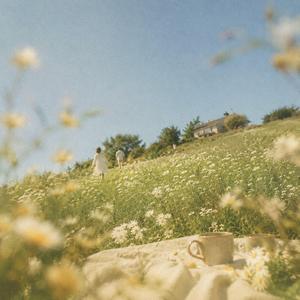 Coffee & Daisies