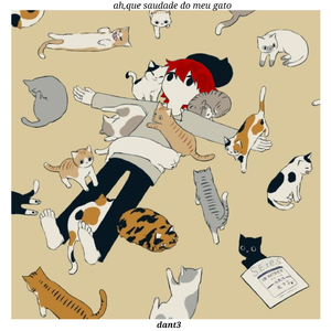 Ah,que saudade do meu gato