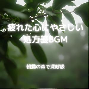 朝露きらめく森の入り口で