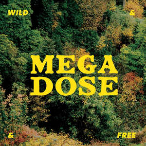 Wild And Free