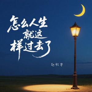怎么人生就这样过去了