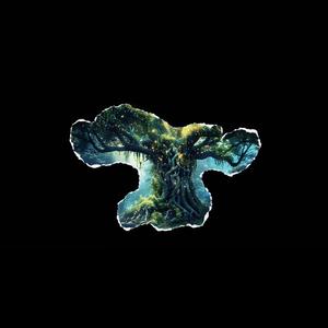 ნატვრის ხე