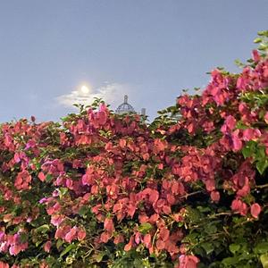 浪漫主义悲剧（prod by Lv9）