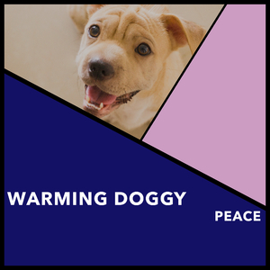Pooch's Power Walk