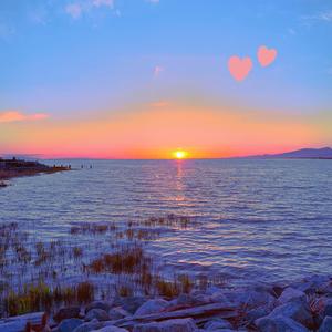 月亮代表我的心