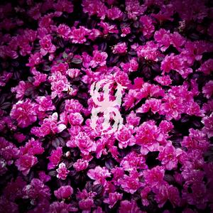 The Renasci Era I