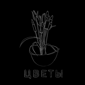 Цветы