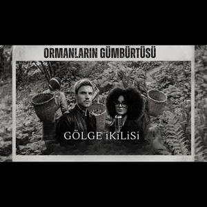 Ormanların Gümbürtüsü