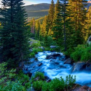 Bob Sinclar-Let's get high（LMY remix）